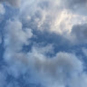 Meet your Posher, Sheila